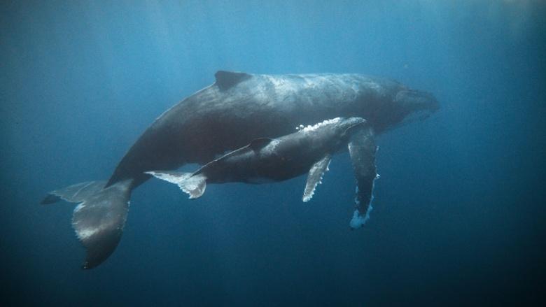 Climate California Image