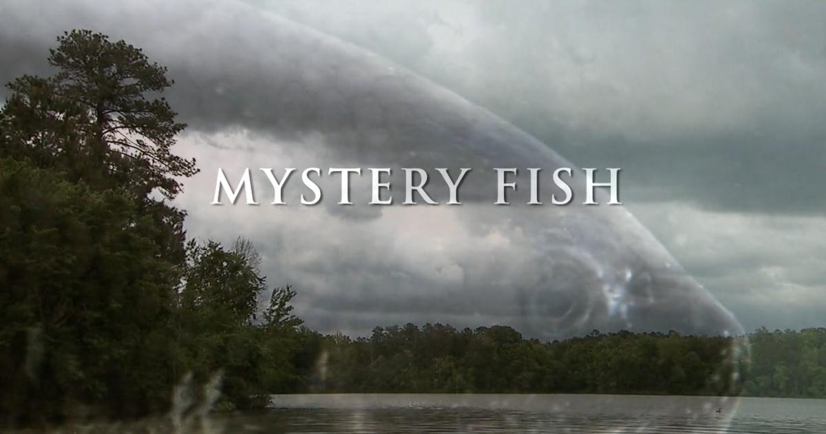 Georgia Outdoors, Mystery Fish, Season 2014, Episode 4