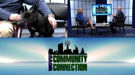 Video thumbnail: Community Connection CPA & Veterinarian #1513