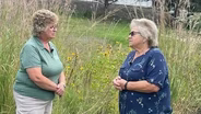 Creating a Monarch Waystation