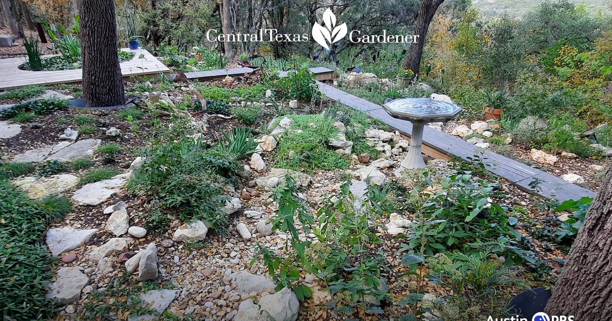 Central Texas Gardener, Improving Clay Soil, Season 27