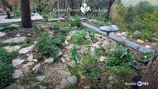 Improving Clay Soil