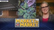 Market to Market (January 12, 2018)