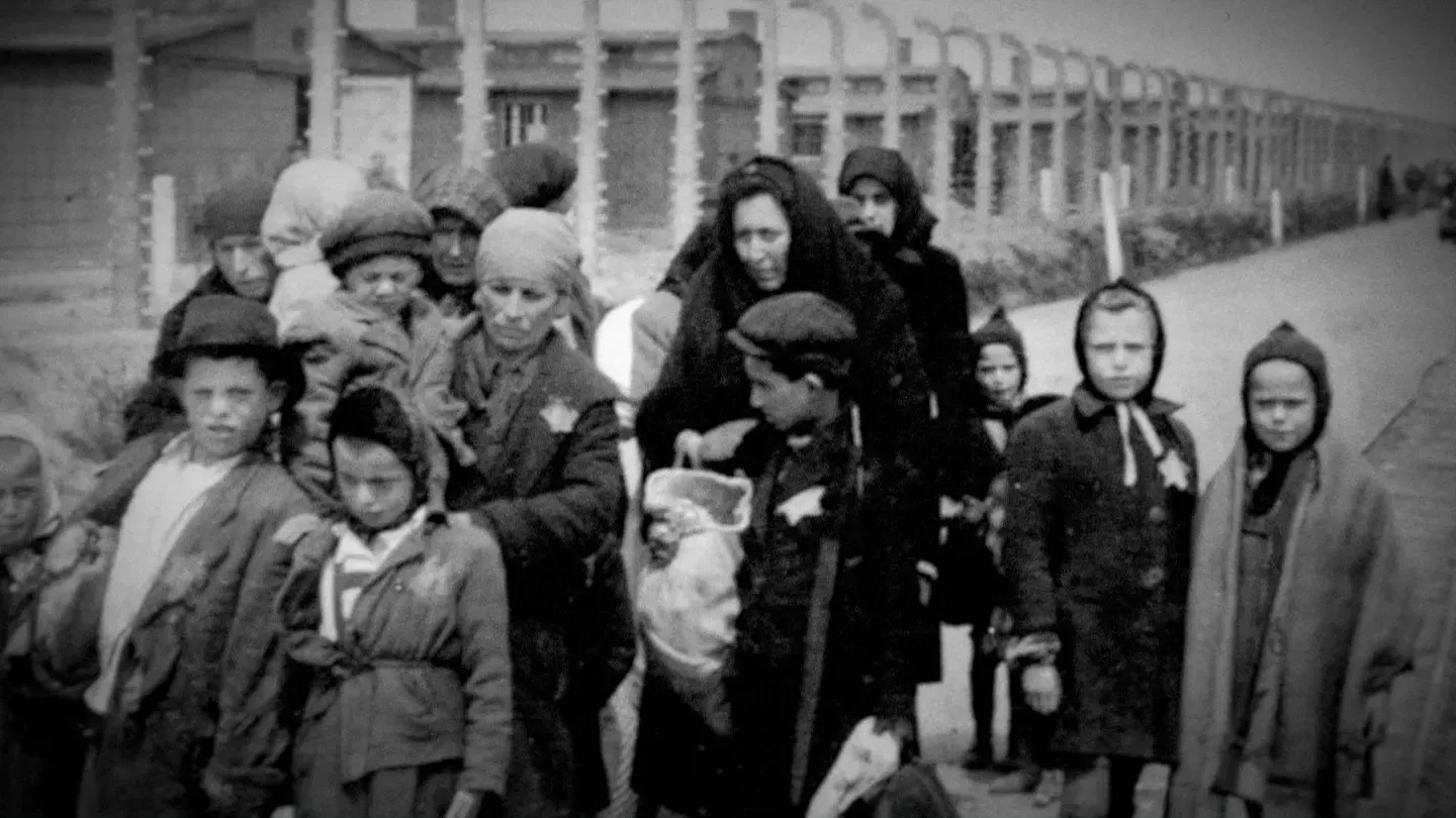 Stories of Survival: Childhood Lost