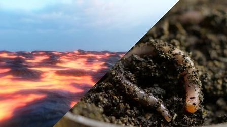 Video thumbnail: OPB Science From the Northwest The epic story of Oregon’s soil | Superabundant