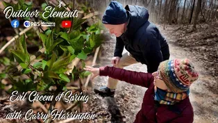 Evil Greens of Spring with Garry Harrington