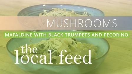 Video thumbnail: The Local Feed Mushrooms | Mafaldine with Black Trumpets