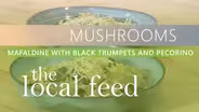 Mushrooms | Mafaldine with Black Trumpets