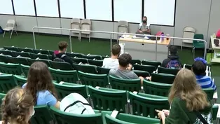The push to lower voting age for board of ed elections