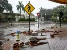 FEMA administrator on federal response to Hurricane Ian