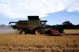 Farmers are feeling the weight of Trump policies