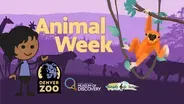 The Animal-Human Connection (Spanish CC)