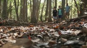 Video thumbnail: NC Weekend Nags Head Woods Preserve