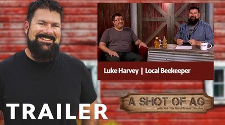 Video thumbnail: A Shot of AG S02 E12: Luke Harvey | Local Beekeeper | Trailer