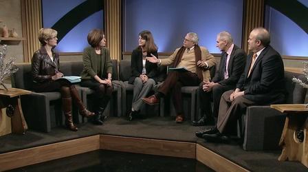 Video thumbnail: Almanac Political Scientists Panel
