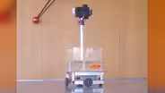 Israeli Researchers Teach a Goldfish to Drive