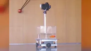 Israeli Researchers Teach a Goldfish to Drive