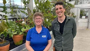 Plants Around the World in Minnesota