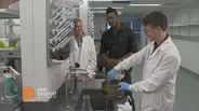 Fatbergs