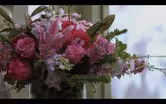 J Schwanke's Life in Bloom