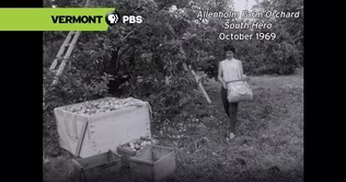 Allenholm Farm Orchard | October 1969