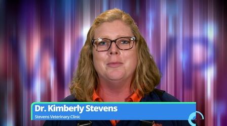 Video thumbnail: WTVP 50th Anniversary Kimberly Stevens | 50th Anniversary