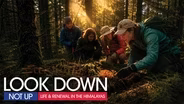 Look Down Not Up: Life & Renewal in the Himalayas