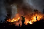 Climate change is driving wildfires, tropical storms
