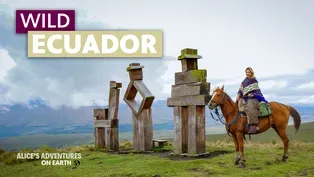 Wild Ecuador