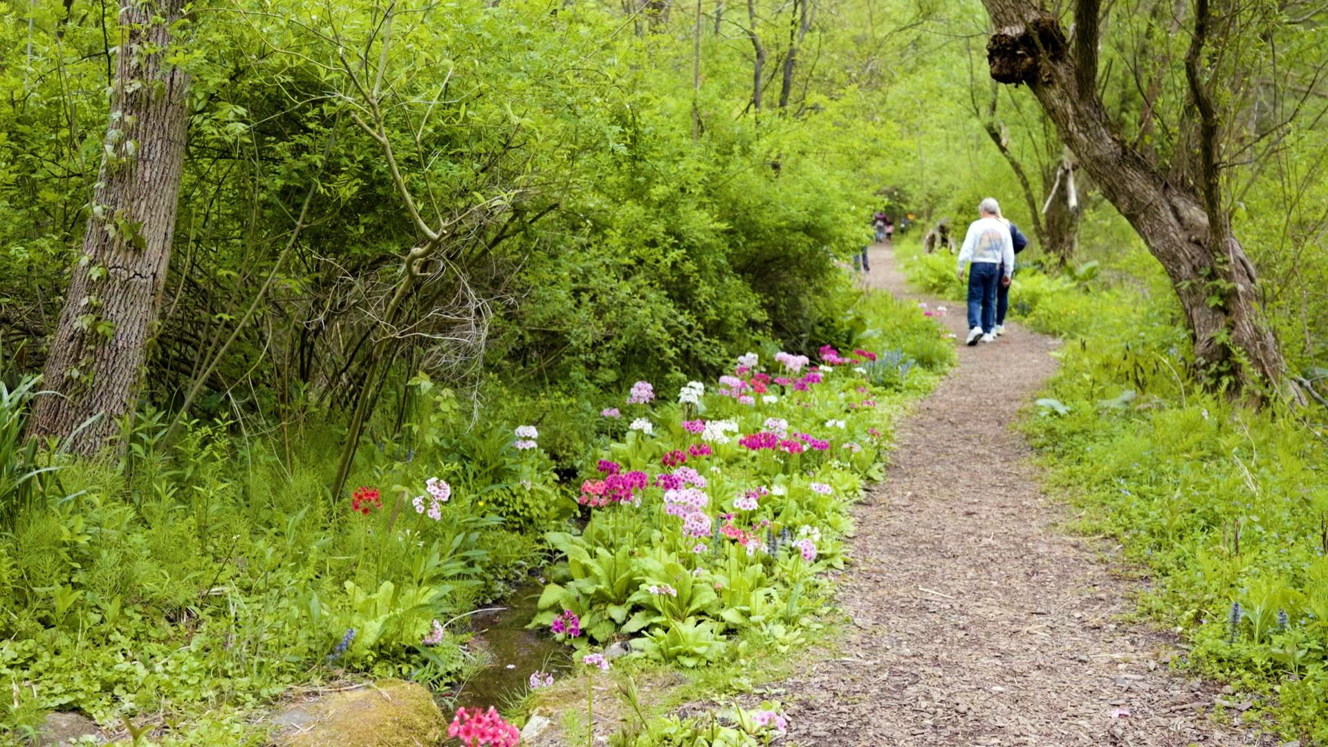 Treasures: The New Jersey State Botanical Garden at Skylands ...