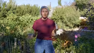 What's Happening in My Garden in October?