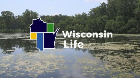 Video thumbnail: Wisconsin Life The Right Note