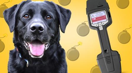 Video thumbnail: Reactions Dog's Nose vs. Electronic Explosives Detector, Who Would Win