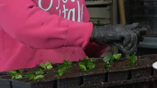 Virginia Home Grown: Propagate Plants