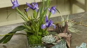 Video thumbnail: J Schwanke's Life In Bloom The Art of Flowers