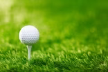 Bridgestone Invitational Future