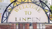 Linden