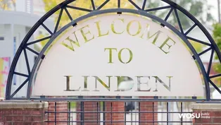 Linden