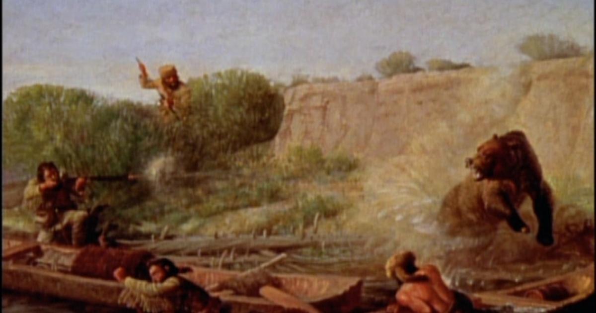 Lewis and Clark Grizzly Bear: Cuộc Gặp Gỡ Đầy Kịch Tính và Những Bài Học Quý Giá