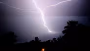 Spider Lightning
