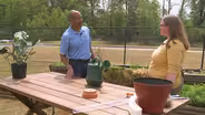Building A Self-Watering Pot & Reading Chemical Labels