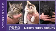 10/23/25 | Harry, Honey, and Frederick Schiller| Mark's Furry Friends Extra