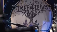 Tree No Leaves