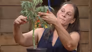 Airflow for Vegetables