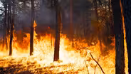 NJ wildfires rage as drought continues