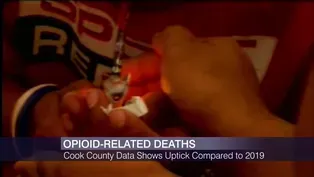 Officials Sound the Alarm on Rising Opioid Overdose Deaths