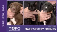 6/18/2026 | Zucker, Teenage Dream and Firework | Mark's Furry Friends Extra