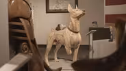 Wounded Warrior Dogs