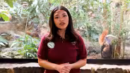 EVEN ANIMALS BECOME AFRAID