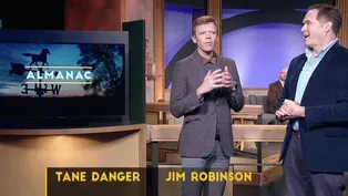 Weekly Essay | Tane Danger